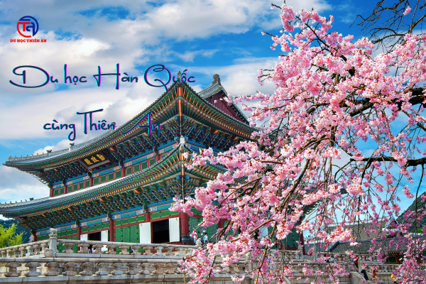 Trung tâm du học Hàn Quốc tại Ninh Bình