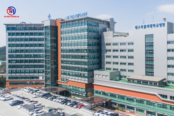 ĐẠI HỌC CÔNG GIÁO HÀN QUỐC 가톨릭대학교 Du học Thiên An (5)