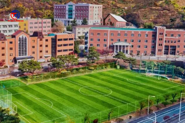 ĐẠI HỌC DAESHIN 대신대학교 Du học Thiên An