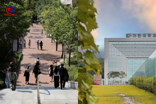 ĐẠI HỌC GACHON (가천대학교) Du học Thiên An - Du học số 1 Ninh Bình