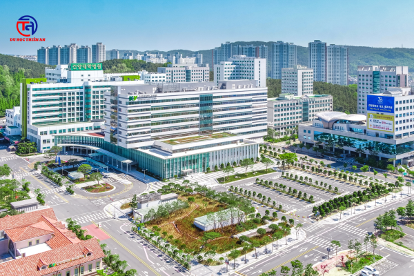 ĐẠI HỌC KONYANG 건양대학교 Du học Thiên An