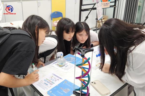 ĐẠI HỌC KONYANG 건양대학교 Du học Thiên An