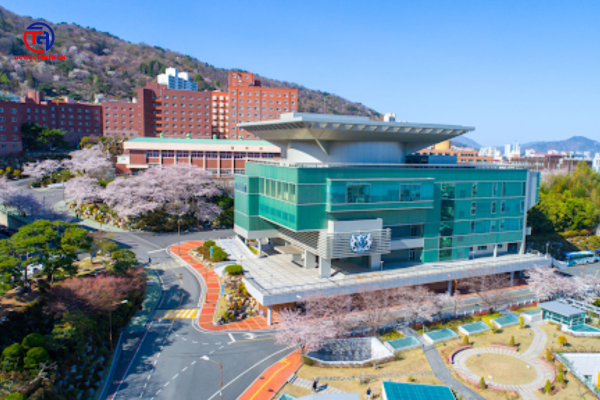 ĐẠI HỌC KYUNGNAM 경남대학교 Du học Thiên An