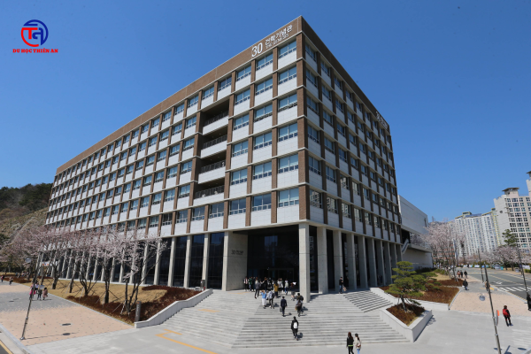 ĐẠI HỌC Kyungsung 경성대학교 Du học Thiên An