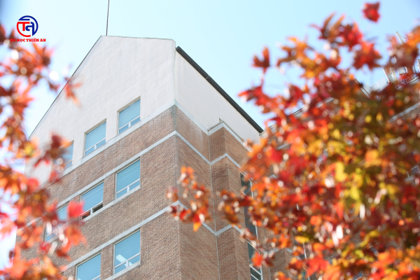 ĐẠI HỌC Kyungsung 경성대학교 Du học Thiên An