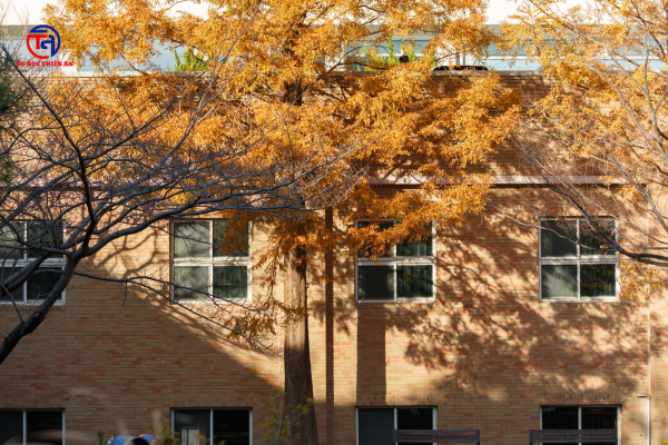 ĐẠI HỌC Kyungsung 경성대학교 Du học Thiên An