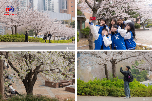 ĐẠI HỌC Kyungsung 경성대학교 Du học Thiên An