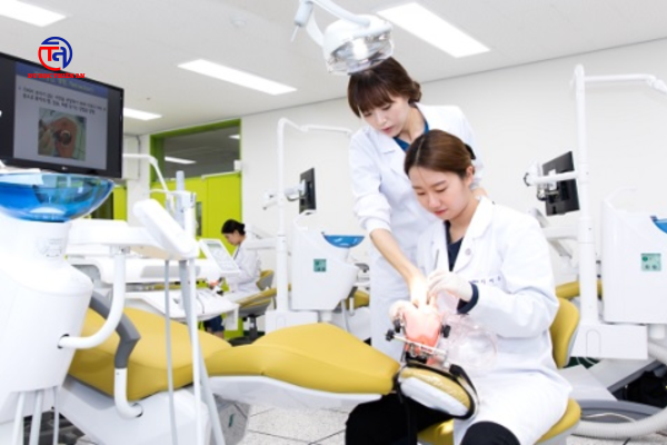 ĐẠI HỌC QUỐC GIA GANGNEUNG–WONJU 강릉원주대학교 Du học Thiên An