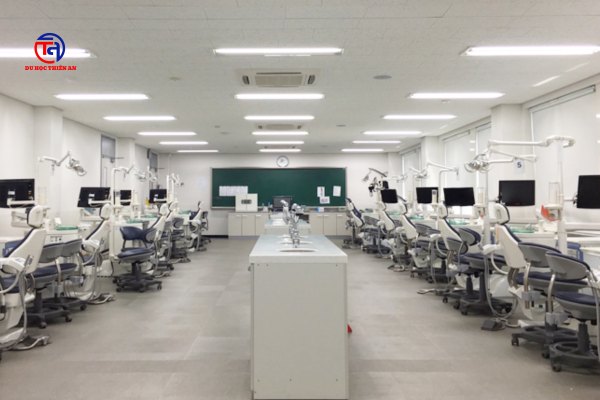 ĐẠI HỌC QUỐC GIA GANGNEUNG–WONJU 강릉원주대학교 Du học Thiên An