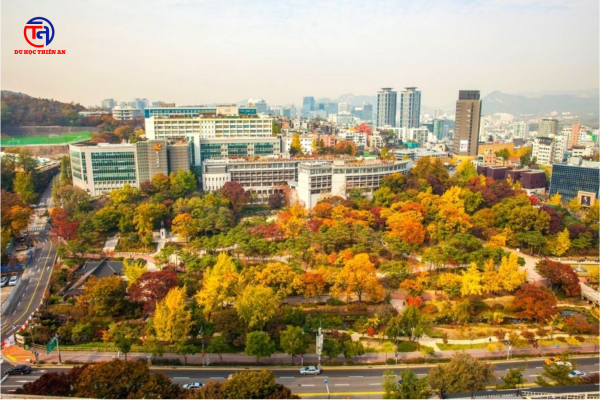 Đại học Dongguk du học Thiên An