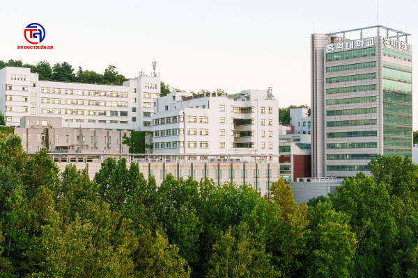 Đại học Hongik 홍익대학교 - Du học Thiên An