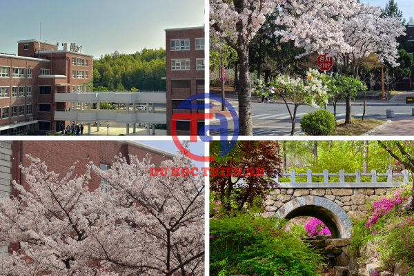 Đại học Keimyung (계명대학교)- Du học Thiên An