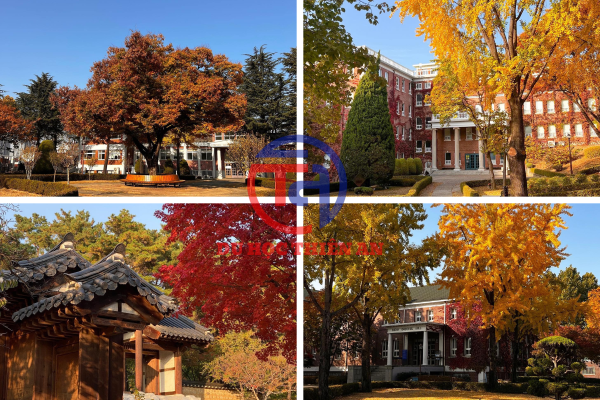 Đại học Keimyung (계명대학교)- Du học Thiên An