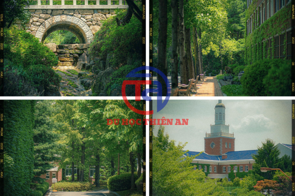 Đại học Keimyung (계명대학교)- Du học Thiên An