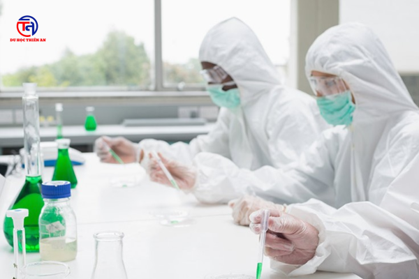 Đại học Khoa học & Công nghệ Hàn Quốc 한국과학기술연합대학교 Du học Thiên An