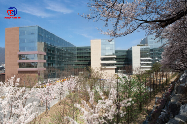 Đại học Nữ Sungshin (성신여자대학교) - Du học Thiên An