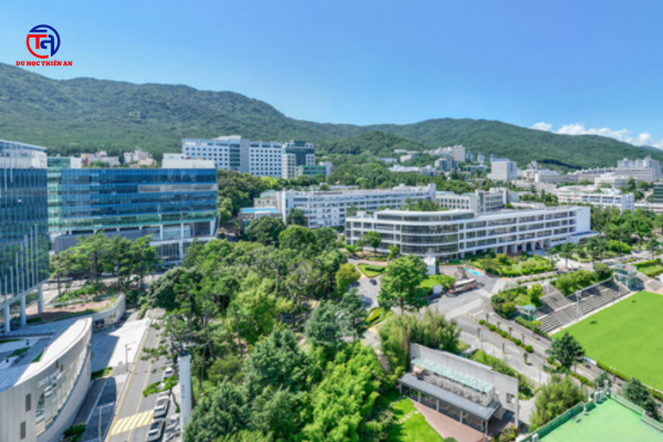 Đại học Quốc gia Busan 부산대학교 Du học Thiên An Du học Hàn Quốc