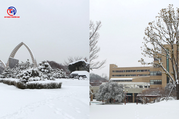 Đại học Quốc gia GYEONGSANG 경상국립대학교 Du học Thiên An
