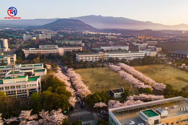 Đại học Quốc gia Jeju 제주대학교 Du học Thiên An