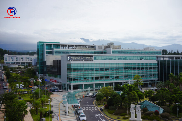 Đại học Quốc gia Jeju 제주대학교 Du học Thiên An