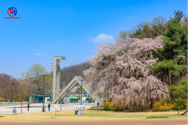 Đại học Quốc gia Seoul Seoul National University – SNU 서울대학교 DU HỌC THIÊN AN