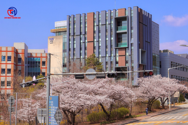 Đại học Quốc gia Seoul Seoul National University – SNU 서울대학교 DU HỌC THIÊN AN (4)
