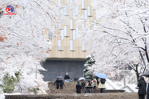 Đại học Quốc gia Seoul Seoul National University – SNU 서울대학교 DU HỌC THIÊN AN