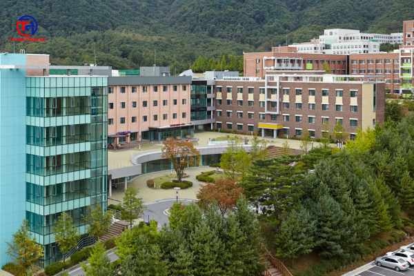 Đại học Semyung 세명대학교 Du học Thiên An