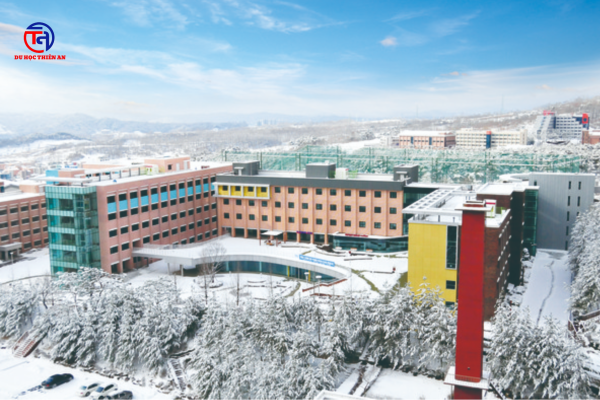 Đại học Semyung 세명대학교 Du học Thiên An