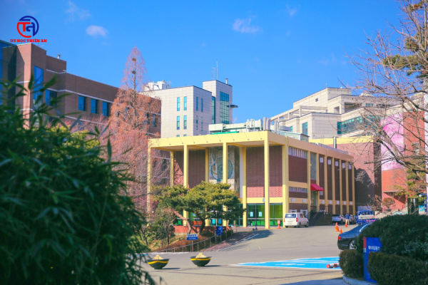 Đại học Sogang (Sogang University – 서강대학교) DU HỌC THIÊN AN