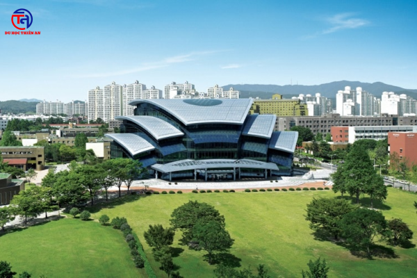 Đại học Sungkyunkwan DU HỌC THIÊN AN
