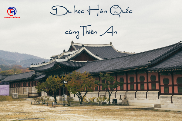 Du học Hàn Quốc cùng Thiên An
