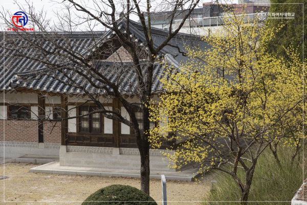 Ewha Womans University (이화여자대학교) DU HỌC THIÊN AN