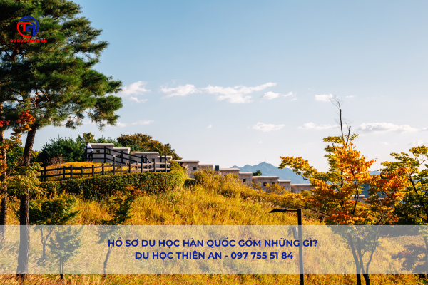 Hồ sơ Du học Hàn Quốc Gồm Những Gì - Du học Thiên An