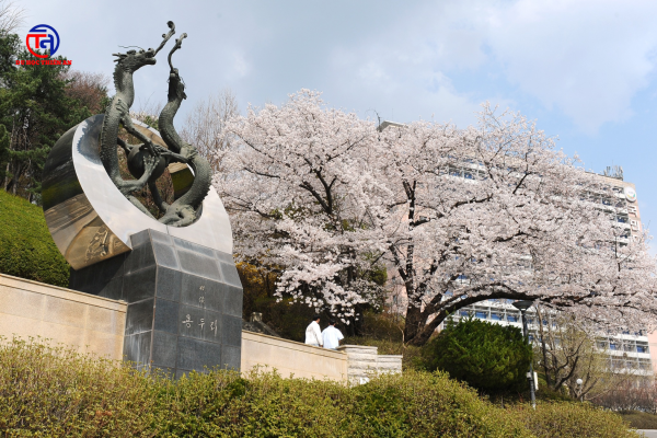 Chạm tới Kookmin University – 국민대학교 cùng Du học Thiên An