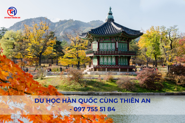 Trung tâm du học Hàn Quốc tại Ninh Bình