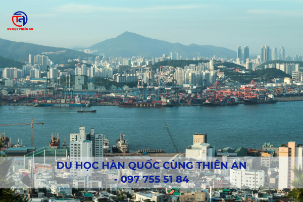 Trung tâm du học Hàn Quốc tại Ninh Bình