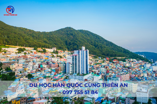 Trung tâm du học Hàn Quốc tại Ninh Bình