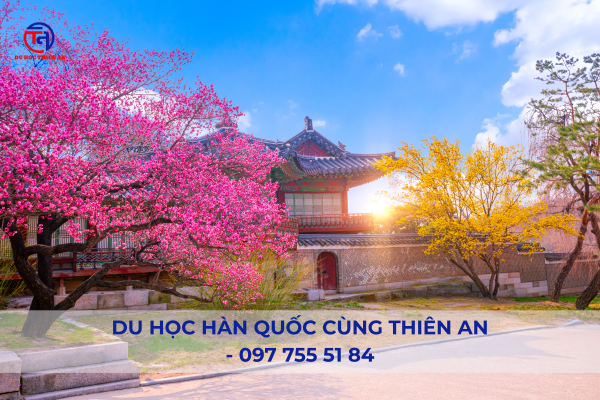 Trung tâm du học Hàn Quốc tại Ninh Bình