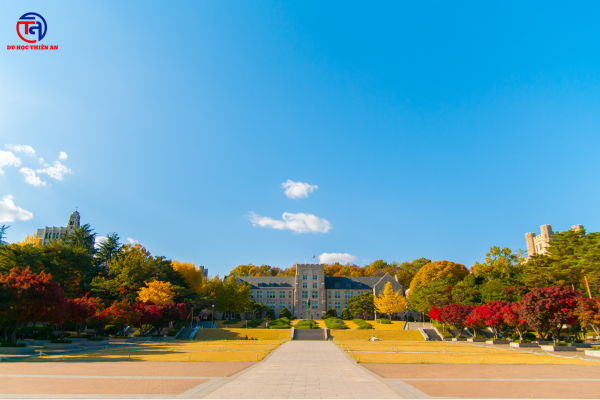 đại học korea DU HỌC THIÊN AN