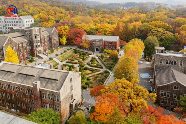 Đại học Yonsei - top Sky Hàn Quốc