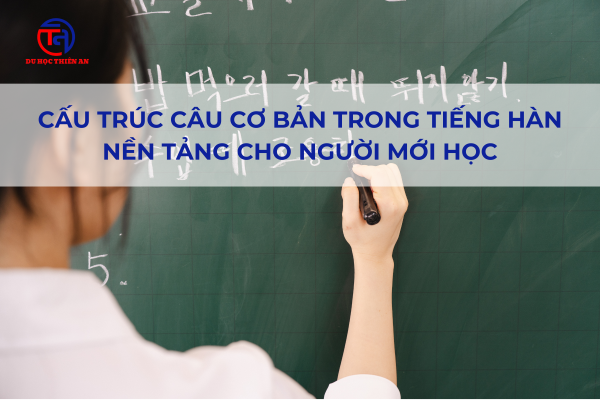 Cấu trúc câu cơ bản trong tiếng Hàn. Nền tảng cho người mới học